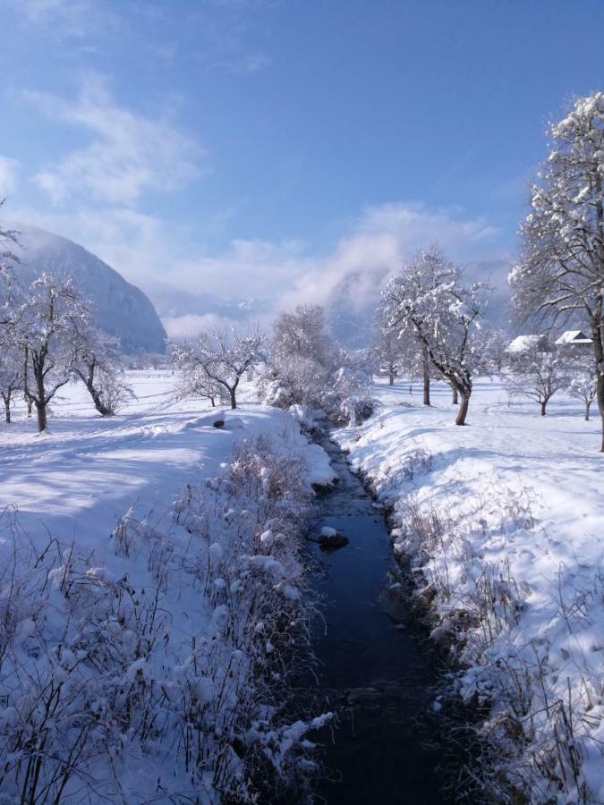 Ucni Ranc, Bohinj Apartment ภายนอก รูปภาพ