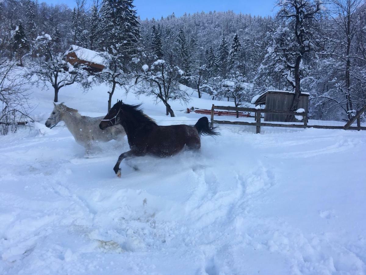 Ucni Ranc, Bohinj Apartment ภายนอก รูปภาพ